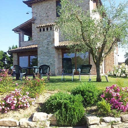 Agriturismo La Torraccia โตดี ภายนอก รูปภาพ
