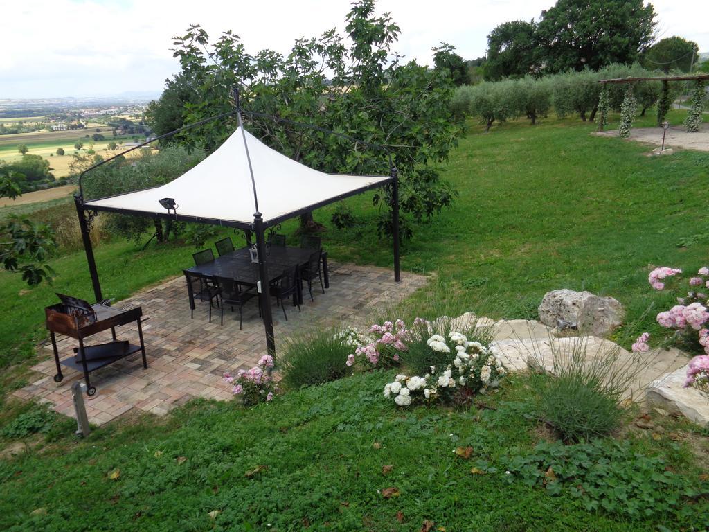 Agriturismo La Torraccia โตดี ภายนอก รูปภาพ